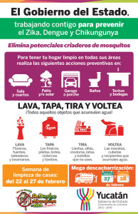 17_02_16_redes_medidas_prevencion_zika-y-chikunguya