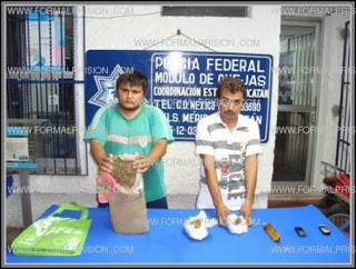 Policía Federal detiene a dos narcos