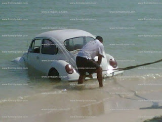 Volchito  se mete a bañar al mar en Chelem