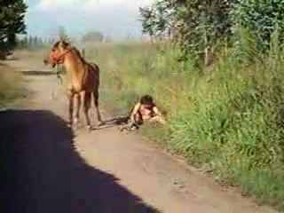 Exhiben crueldad contra caballos en playas de Progreso