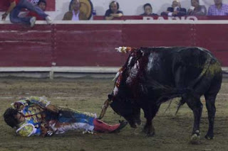 Le clava el pitón un toro en Caucel