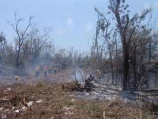 Campesino muere atrapado por el fuego en su parcela