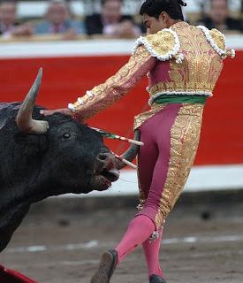 Otro torero herido: el toro lo cornea en sus partes íntimas