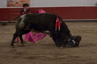 Torero borracho de Pacabtún al hospital luego de revolcón con el toro Cuatro Leches