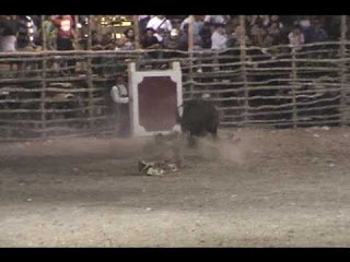 El toro lesiona al caballo y a su jinete durante una corrida