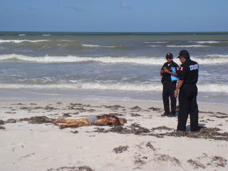 Se ahogó el extranjero hallado muerto en Las Coloradas