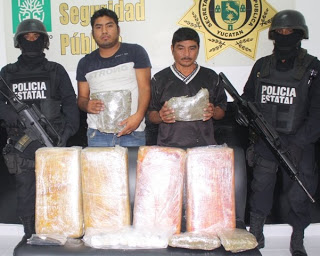 Buen golpe de la SSP al narcomenudeo: incauta 50 kilos de mariguana de la buena