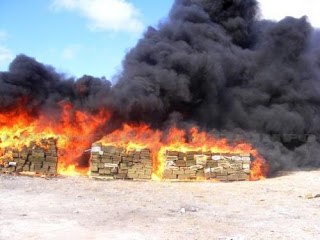 Incinera la PGR 95 kilos de mariguana de buena calidad