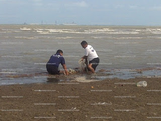 Cae del muelle en Progreso y muere ahogado