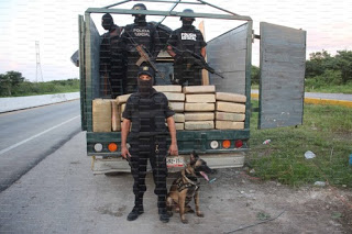 Pilón, perro policía de la SSP muere de un golpe de calor durante el Carnaval