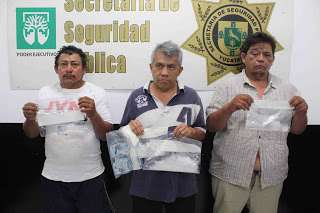 Decomisa la SSP 260 dosis de coca en operativo en Chuburná