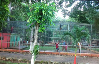 Se escapa un mono del zoológico y el alboroto propicia el cierre del parque