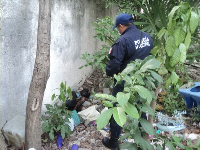 Hallan cadáver de un joven cerca de un altar a la "Santa Muerte"