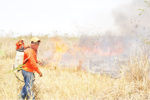 Controlados los 633 incendios registrados hasta ahora en la temporada
de quemas