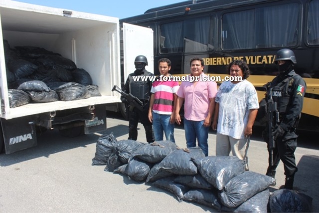Detenidos con cargamento ilegal de pepino de mar