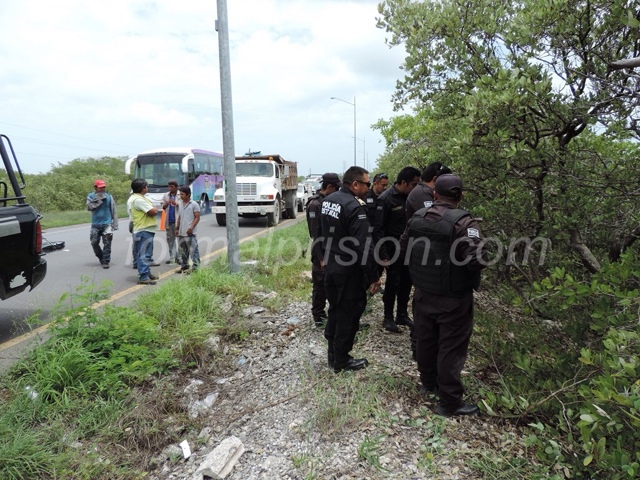 Hallan osamenta a la orilla de la carretera Mérida-Progreso