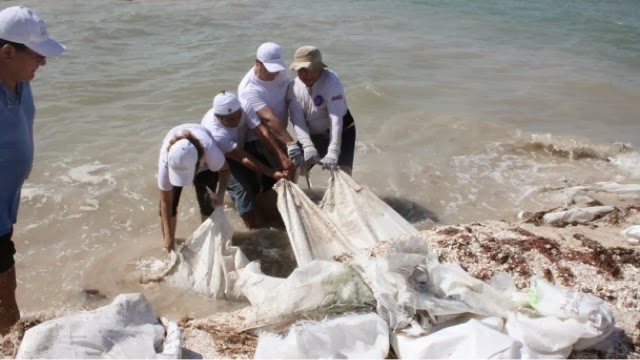 Operativo sorpresa de la Profepa en la costa yucateca