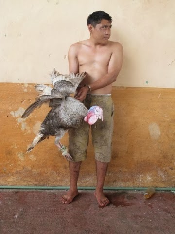 Detienen a "Eminem" por robar un pavo de siete kilos