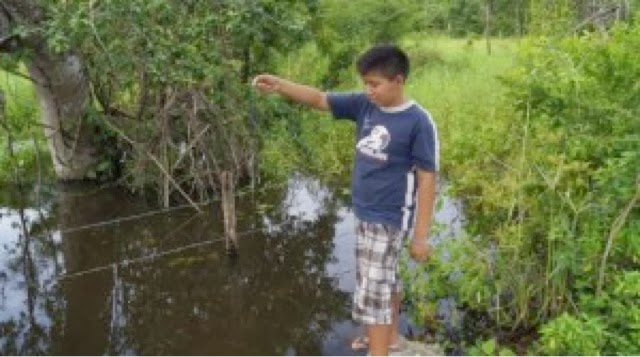 Insólita "lluvia de peces" en un pueblo de Yucatán