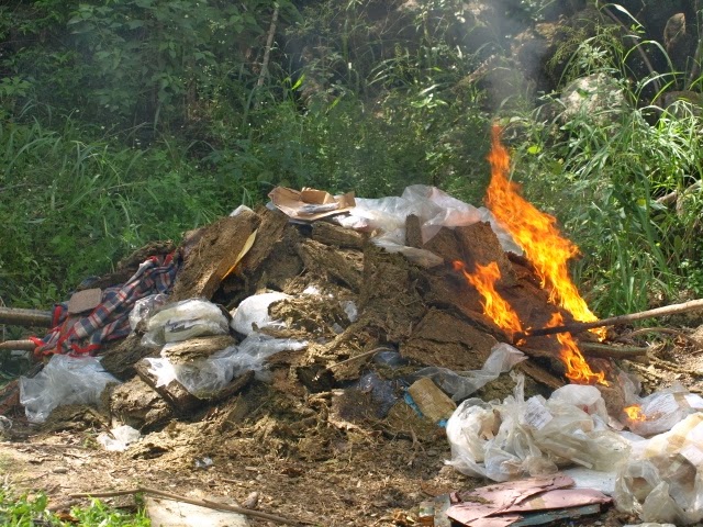 Incineran 400 kilos de mariguana en Yucatán