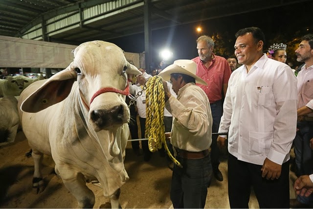 Inaugurada la Feria Yucatán X'matkuil 2013