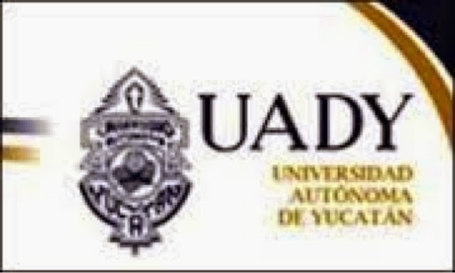 La UADY se declara en "quiebra" y no paga salarios de sus maestros