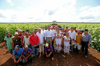 Tecnifican ocho mil hectáreas de cultivo en Yucatán durante 2013