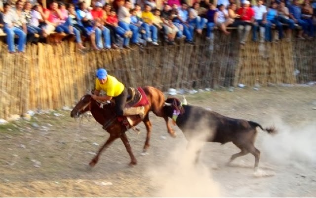 Toro desangra a un vaquero en un torneo de lazo en Yucatán