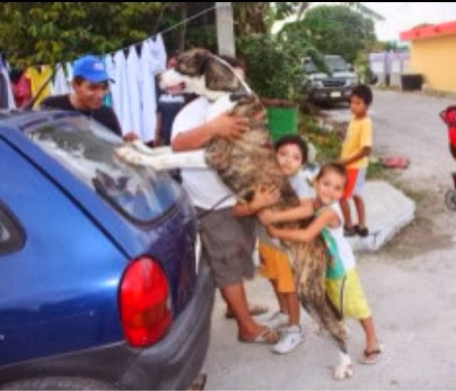 Cae la dueña de "Roko", un perro narcomenudista