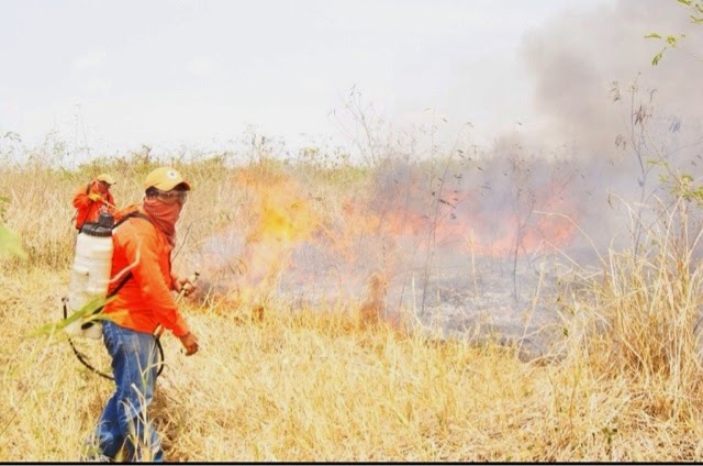 Registro de incendios se mantiene a la baja en la entidad