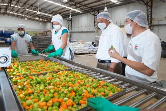 Visita Gobernador la firma local Industria Agrícola Maya.