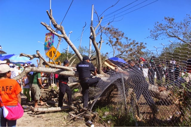 Cae árbol en Carnaval en Xmatkuil y lesiona a tres mujeres