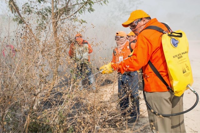 Participa el Gobernador en práctica de combate de incendios