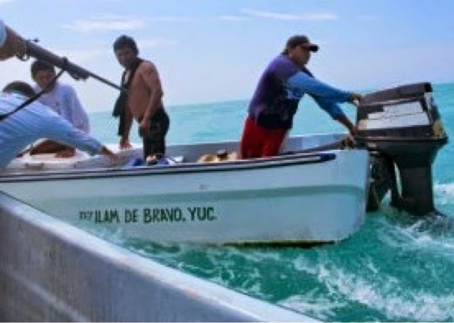 Autodefensas en el mar de Yucatán