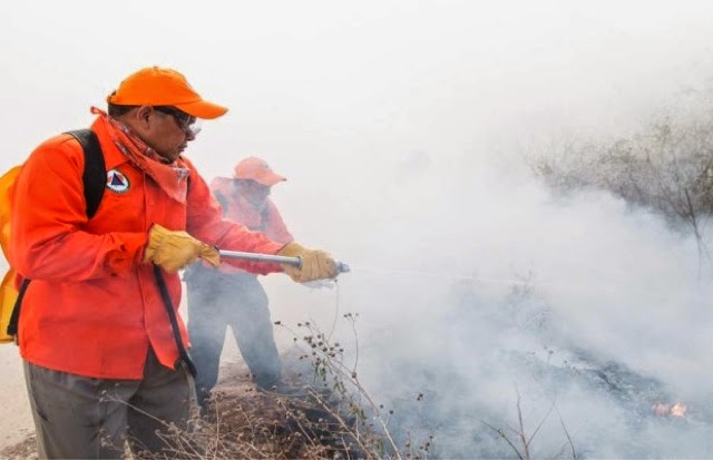 A la baja estadística de incendios en la entidad