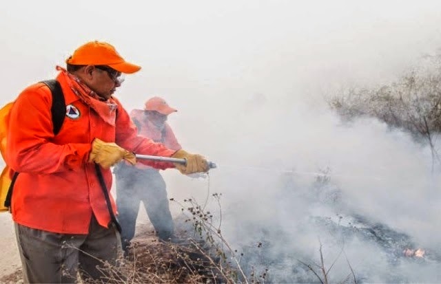 Yucatán con efectiva prevención y combate de incendios