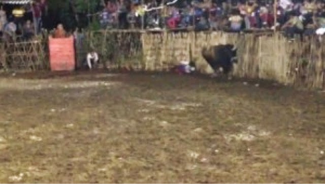 Otro torero corneado durante una corrida en Yucatán