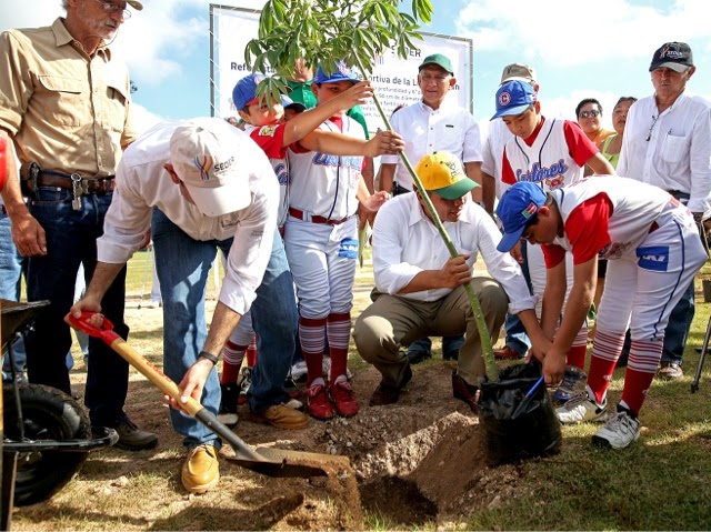 Reforestan la Unidad Deportiva de la Liga Infantil y Juvenil de Béisbol
Yucatán