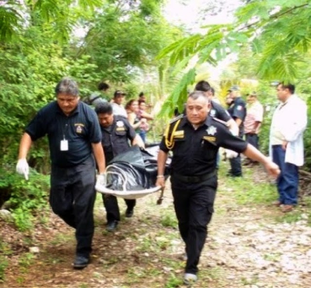 Apicultor muere por ataque de sus propias abejas