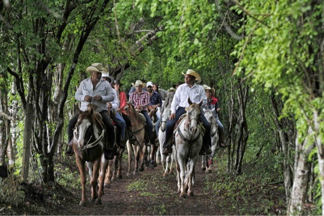 El Gobernador encabeza la Cabalgata Bridón Tizimín 2014