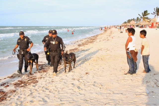 A la baja, los accidentes automovilísticos en estas vacaciones