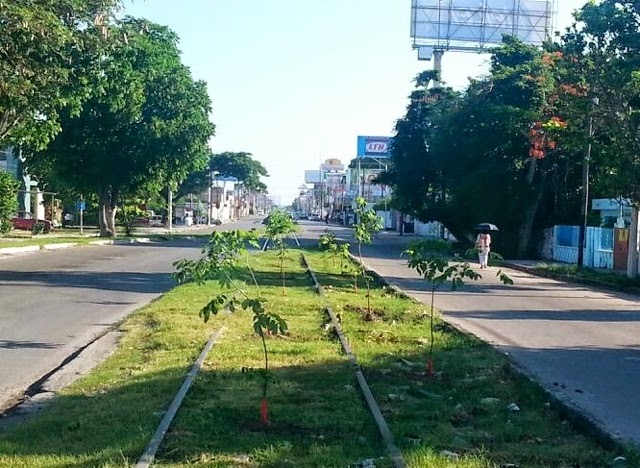 El Ayuntamiento de Mérida se extralimita y la SCT lo corrige