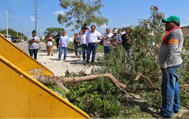 Cumple Gobierno del Estado con limpieza de predios inseguros en Ciudad
Caucel