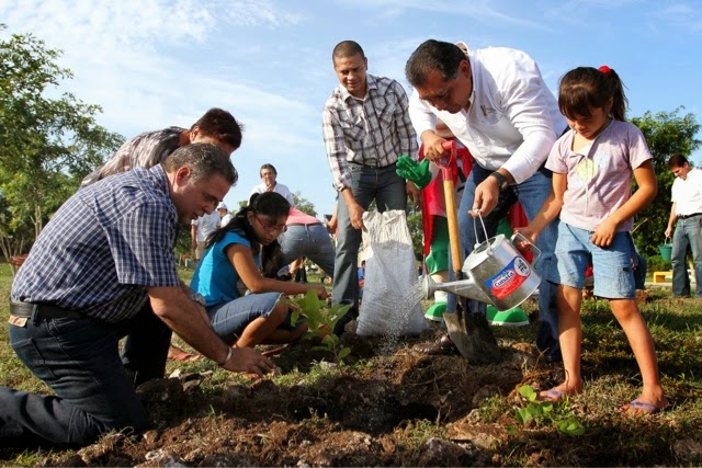 Avanza la reforestación de un millón de árboles en el Estado.