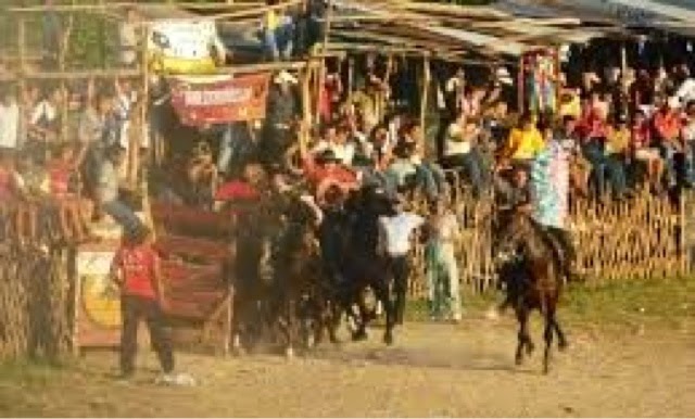 Gobierno del Estado a favor de las fiestas tradicionale, pero exhorta a
respetar Ley de Protección a la Fauna.