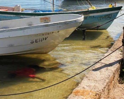 Medicina forense salva a pescador de 'cargar con un muertito'