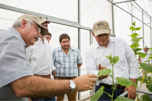 Gobernador visita invernadero Maya Vegetales del grupo La Anita