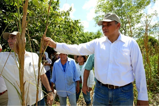 El Gobernador visitó unidades agrícolas de Yobaín y Sinanché ".