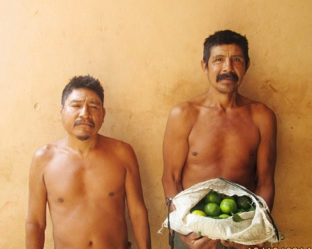 En Yucatán los encarcelan por robar… ¡mandarinas!