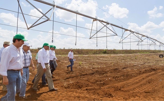 Entregan apoyos para innovación del agro yucateco